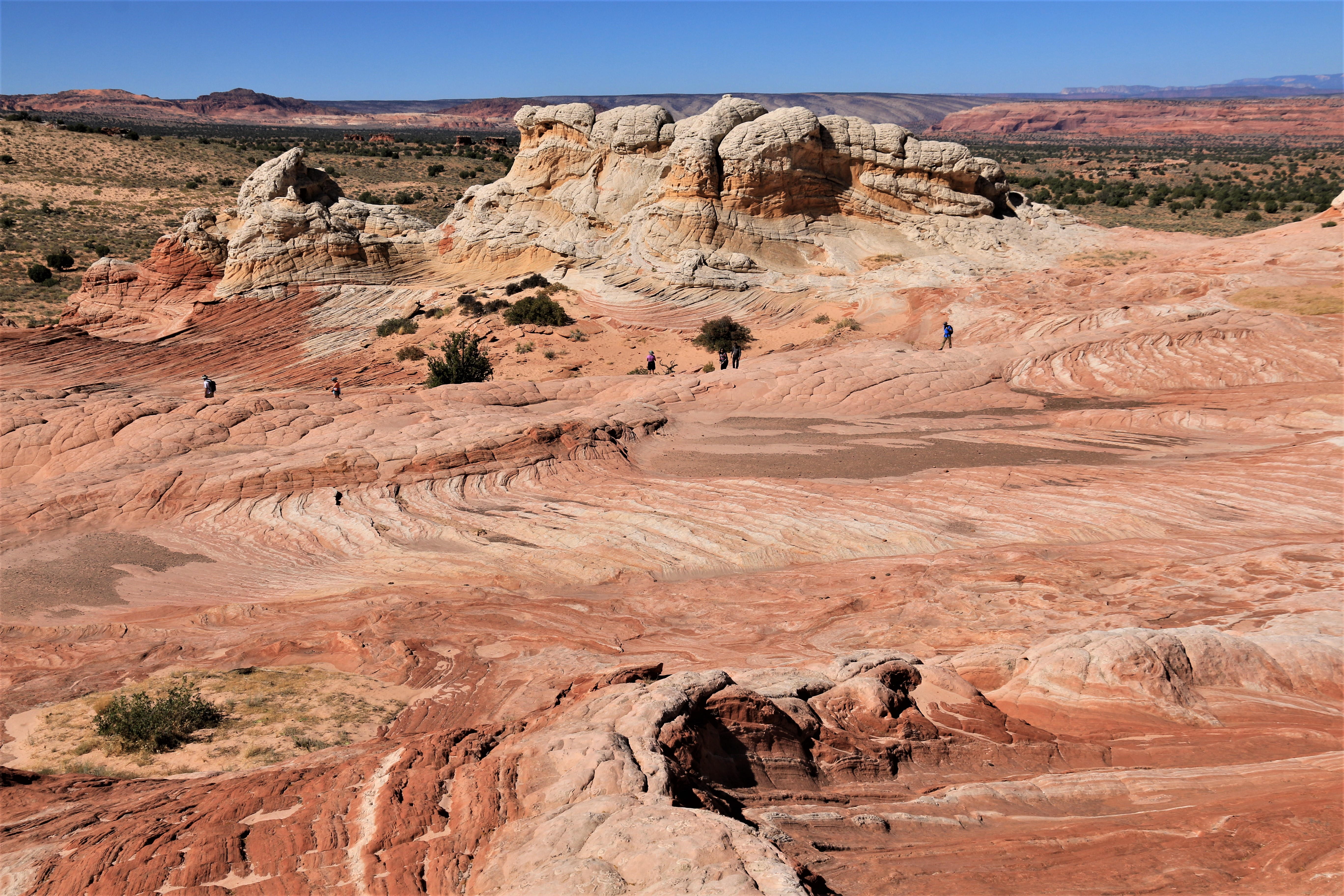 Vermillion Cliffs NM